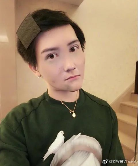 如何评价刘梓晨是有钱没头脑的网红?