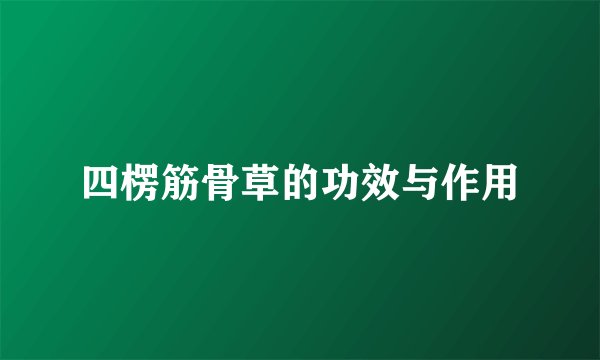 四楞筋骨草的功效与作用