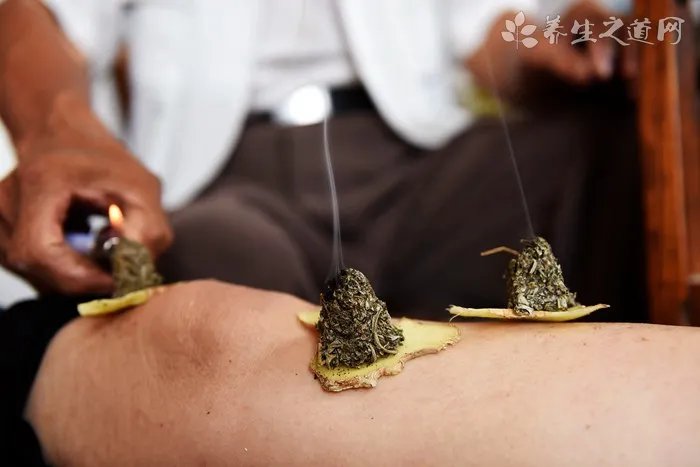 茶杯狗多少钱?茶杯狗的价格是多少