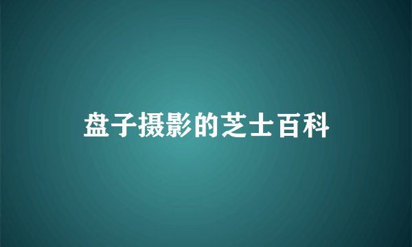 盘子摄影的芝士百科