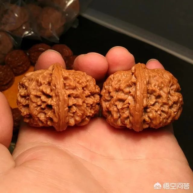 南疆石狮子头为什么那么贵,还那么受欢迎?