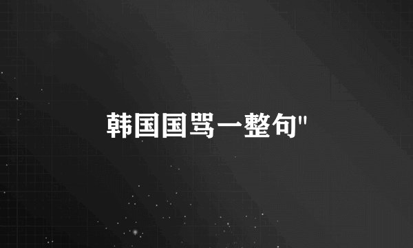 韩国国骂一整句
