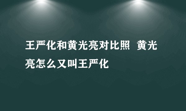 王严化和黄光亮对比照  黄光亮怎么又叫王严化