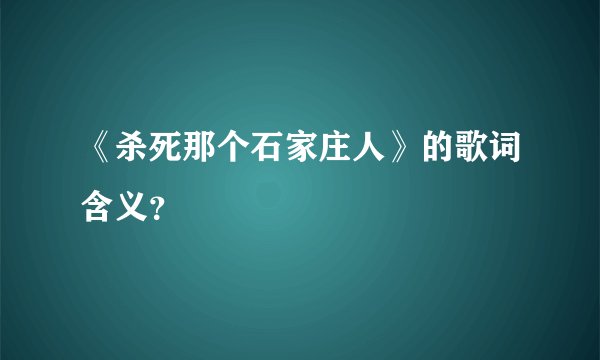 《杀死那个石家庄人》的歌词含义？