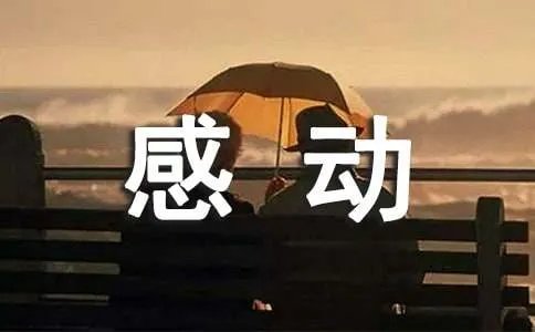 身边的感动作文
