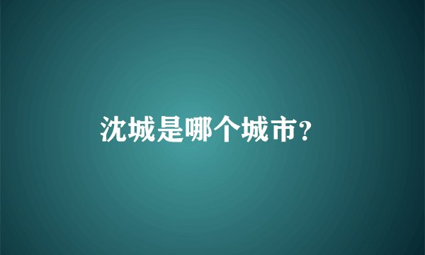 沈城是哪个城市？