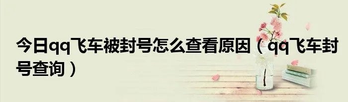 今日qq飞车被封号怎么查看原因（qq飞车封号查询）