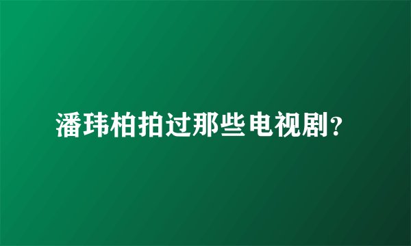 潘玮柏拍过那些电视剧？