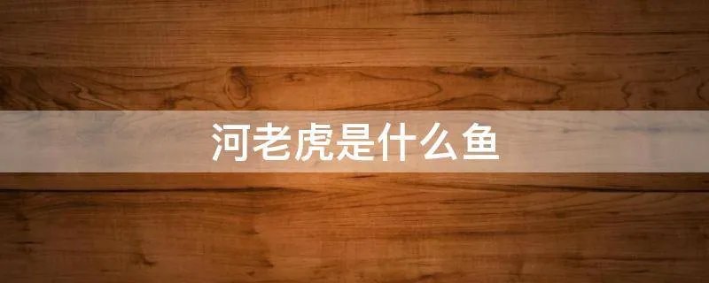 河老虎是什么鱼