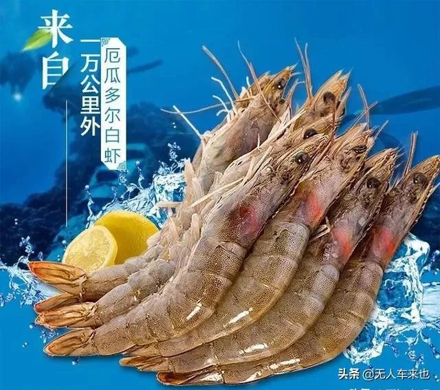 福建进入战时状态,关键词是海鲜,你怎么看?