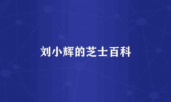 刘小辉的芝士百科