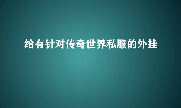 给有针对传奇世界私服的外挂