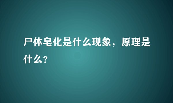 尸体皂化是什么现象，原理是什么？