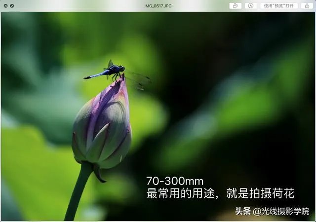 70-300镜头适合拍什么?