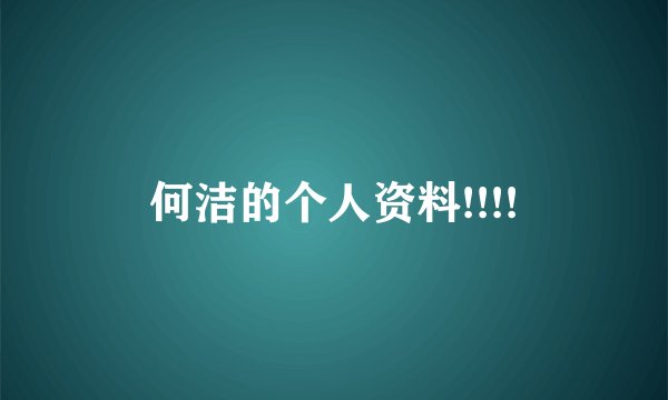 何洁的个人资料!!!!
