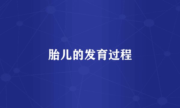 胎儿的发育过程