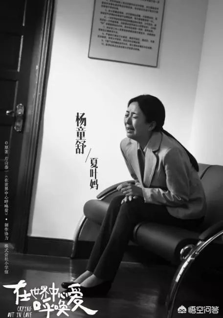 杨童舒演过哪些电视剧?