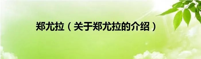 郑尤拉（关于郑尤拉的介绍）