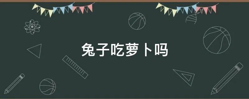 兔子吃萝卜吗