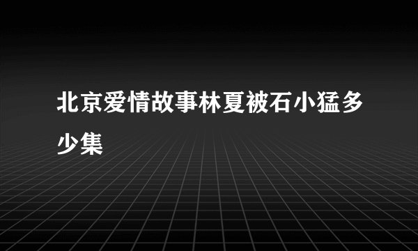 北京爱情故事林夏被石小猛多少集