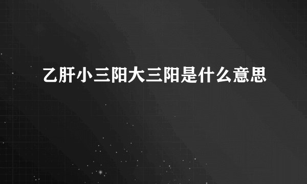 乙肝小三阳大三阳是什么意思