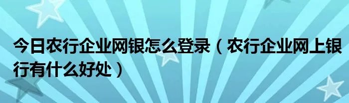 今日农行企业网银怎么登录(农行企业网上银行有什么好处)
