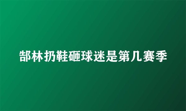 郜林扔鞋砸球迷是第几赛季