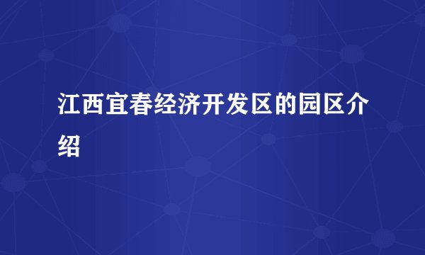 江西宜春经济开发区的园区介绍