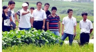大学生村官有出路吗