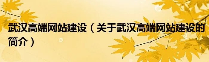 武汉高端网站建设（关于武汉高端网站建设的简介）