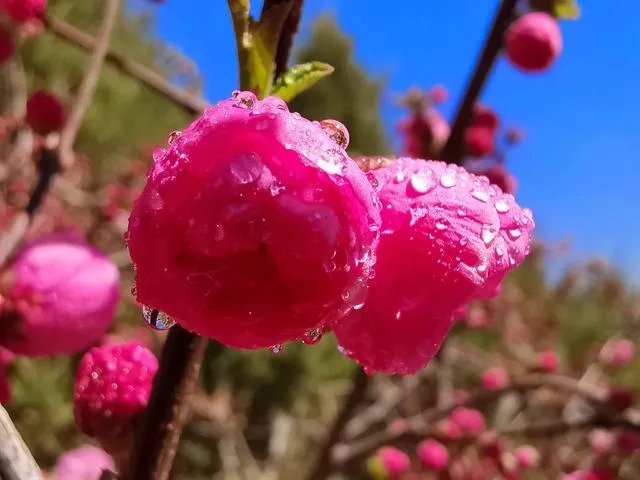 为什么糖水片往往在朋友圈有很高的点赞率,但却得不到摄影大咖们的认可?