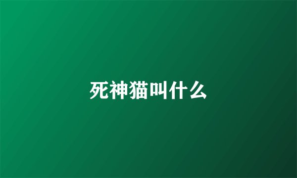 死神猫叫什么