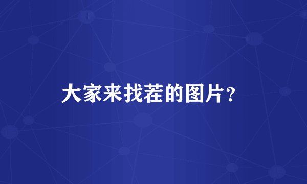 大家来找茬的图片？