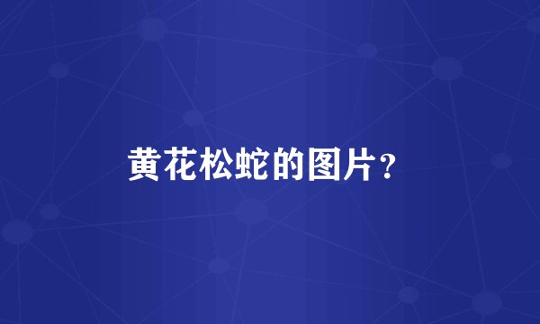 黄花松蛇的图片？
