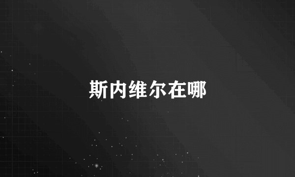 斯内维尔在哪