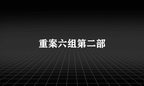 重案六组第二部