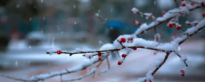 立冬节气代表什么意思 立冬节气代表的意思是什么