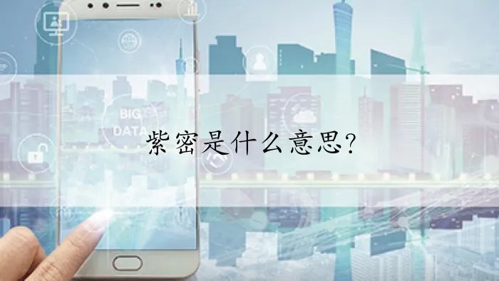紫密是什么意思？