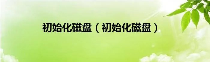 初始化磁盘（初始化磁盘）