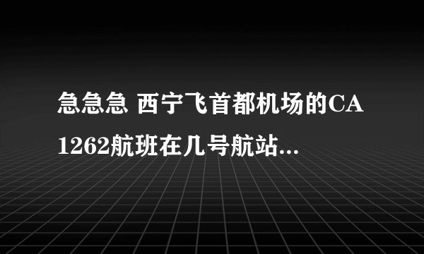 急急急 西宁飞首都机场的CA1262航班在几号航站楼降落？