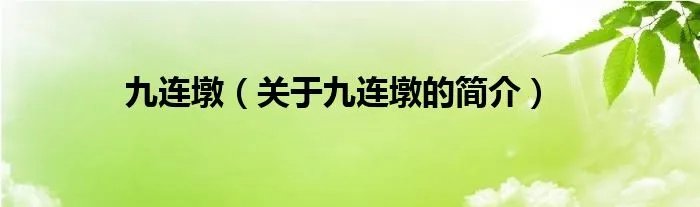 九连墩（关于九连墩的简介）