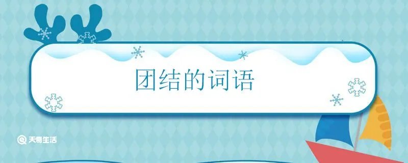 团结的词语