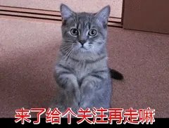 温州商人为什么那么有名？