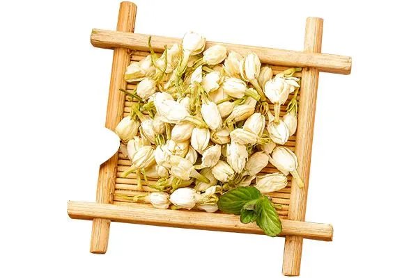 茉莉花的功效与作用