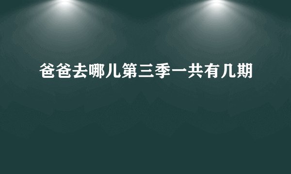 爸爸去哪儿第三季一共有几期