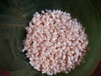 煮粽子需要多长时间,煮粽子需要多长时间知识