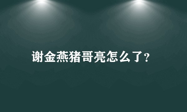 谢金燕猪哥亮怎么了？