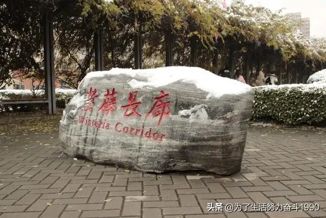 保定金融学院都有哪些本科?