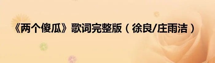 《两个傻瓜》歌词完整版（徐良/庄雨洁）