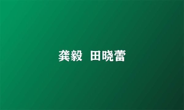 龚毅  田晓蕾